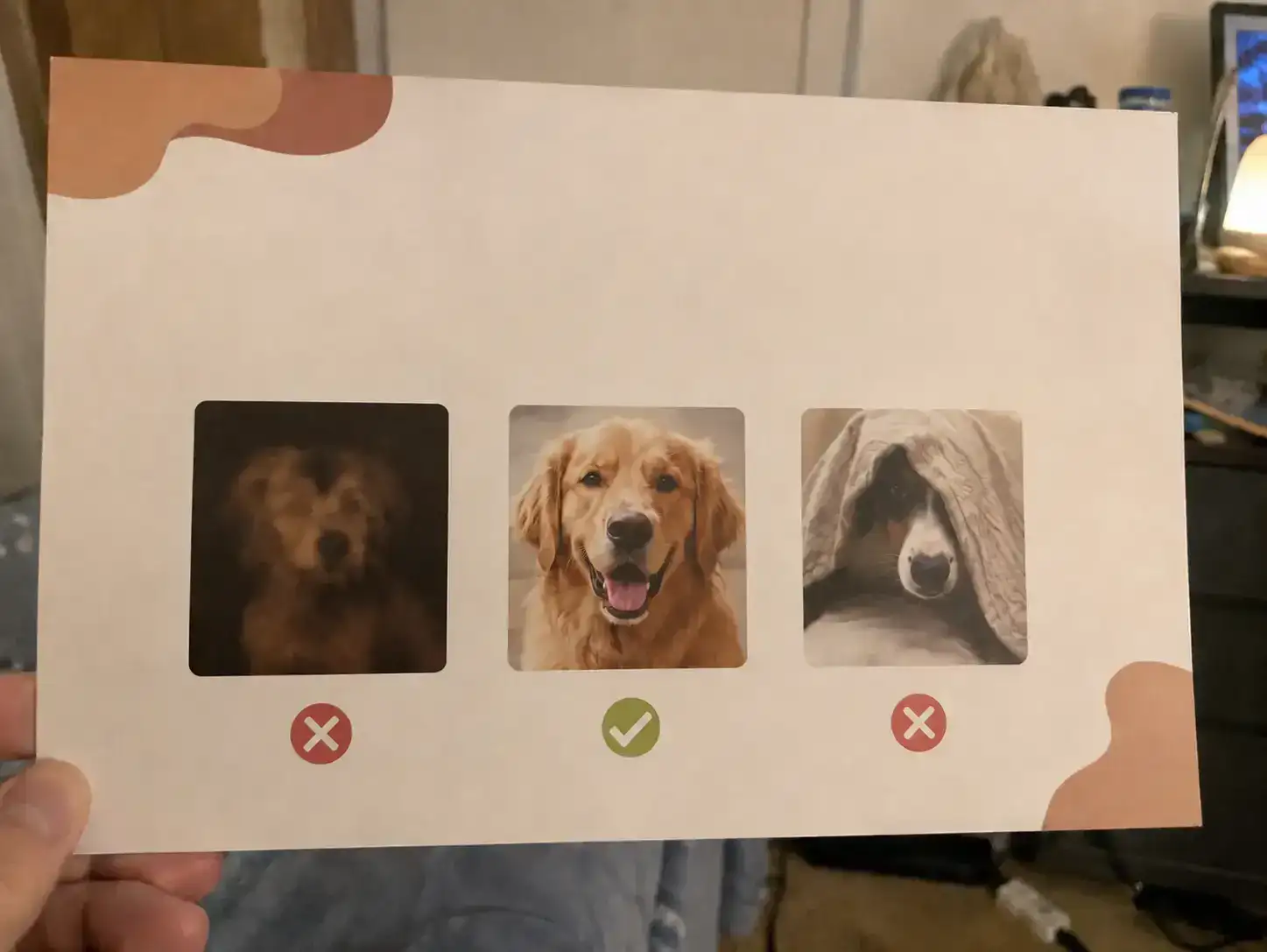 Listing guide comparing a blurry or hidden pet photo with a clear photo that works better for personalization